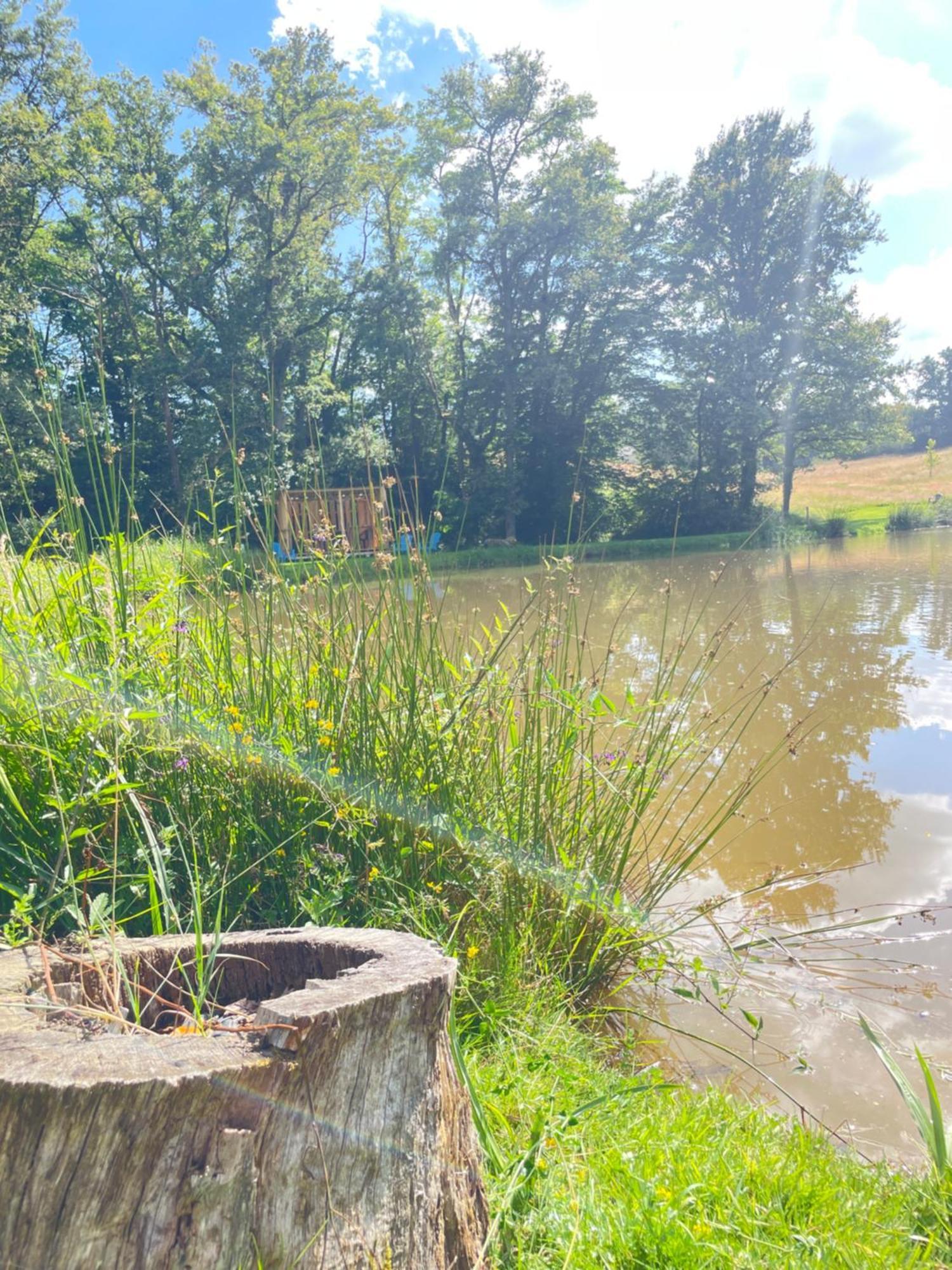 Gite Neuf Avec Jardin, Foret Et Etang Argenton Sur Creuse Buitenkant foto